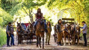 Прыжки во времени в 9 сезоне сериала Ходячие мертвецы
